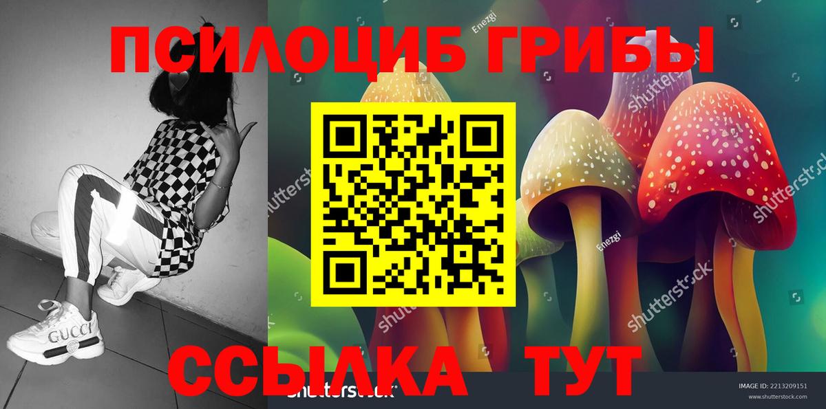 Кинель  Галлюциногенные грибы MAGIC MUSHROOMS  Вход с VPN 