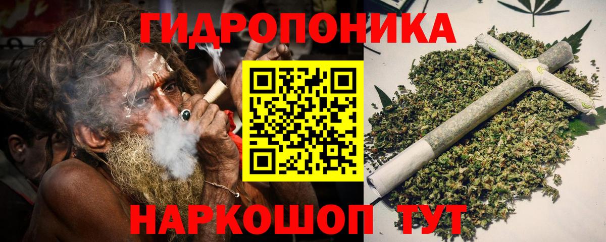 Каннабис конопля Кинель